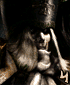 Grand Inquisitor