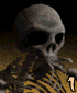 Skeleton